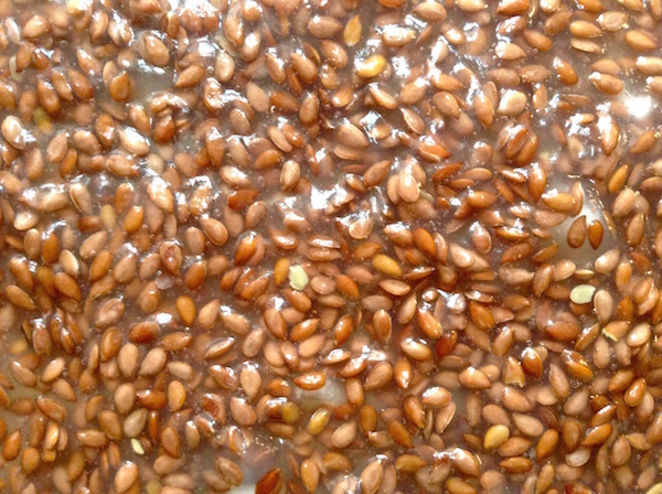 Flax Seed Crisps